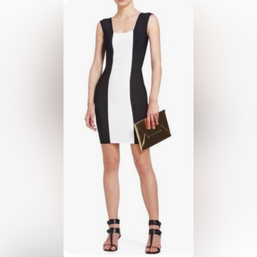 🌻BCBGMaxAzria Dress